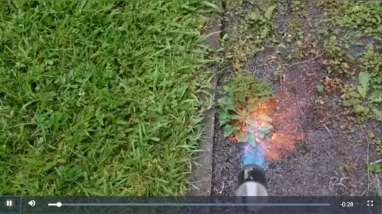 Rhk industrial gás líquido de alta temperatura único interruptor duplo jardim queimador erva daninha aquecimento tocha chama arma
