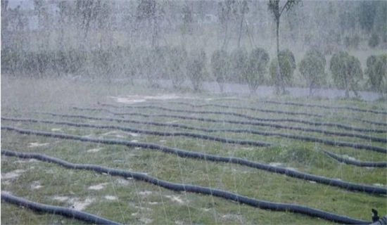 Sistema de irrigação Mangueira de chuva Fita spray de chuva